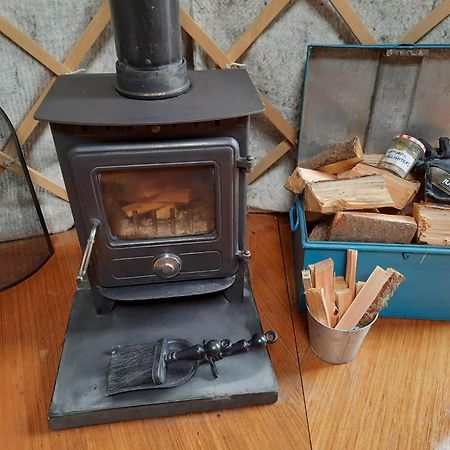 Готель Ceridwen Glamping, Double Decker Bus And Yurts Llandysul Екстер'єр фото
